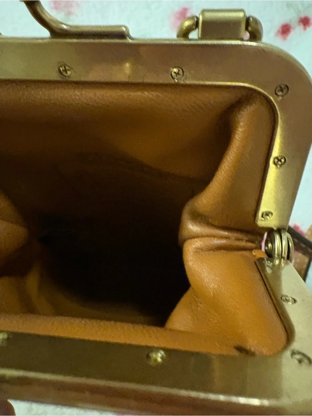 Coach Signature Ladybug Kisslock super rare HTF prestine condition